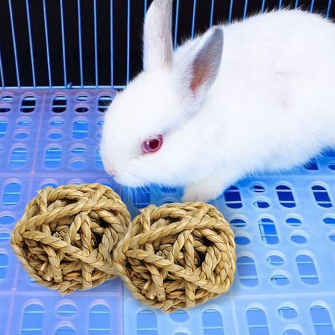 15PCS Rabbit Grass Balls 2.8in Large Guinea Pig Balls Small Animal Activity Enrichment Toy for Bunny Chinchilla Hamster Gerbil Grinding Playing