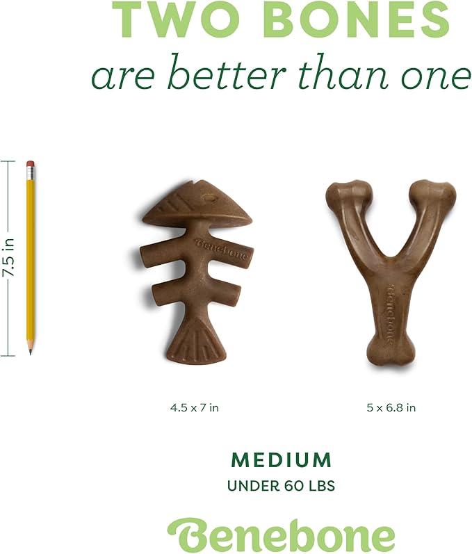 Benebone 2-pack Fishbone/Wishbone Durable Dog Chew Toys, Real Fish, Real Bacon, Made in USA, Medium