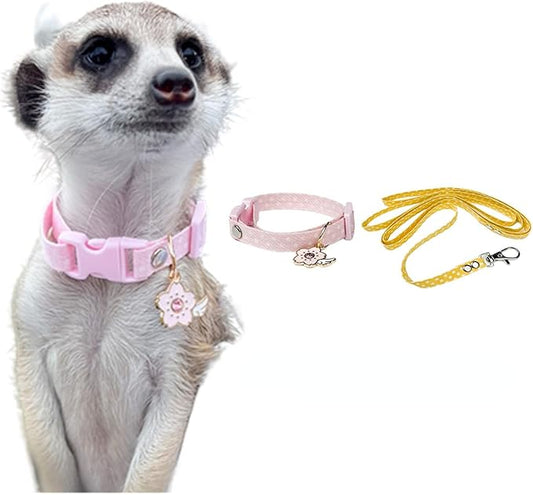 Ferret Collar Harness and Leash Adjustable, Soft and Breathable Ferret Lead Leash with Cute Designed Collar (Pink)