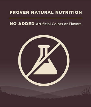 Wellness CORE Dry Dog Food, Grain-Free, High Protein, Natural, Healthy Weight Turkey & Chicken Recipe, (4-Pound Bag)