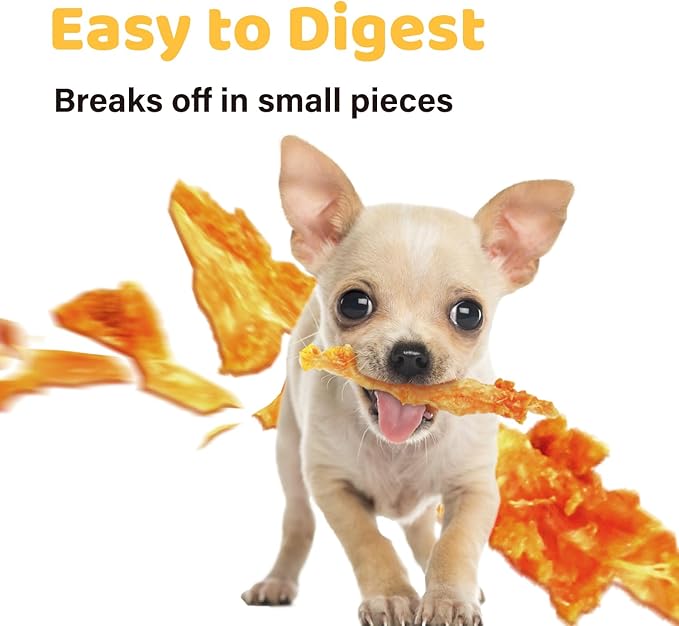 iPaw Turkey Tendons for Dogs Value Pack, 100% Turkey and US Sourced Raw Material, Hypoallergenic, All Natural Human Grade Puppy Chew, Rawhide Alternative Dog Treats, 10 Units/Bag Ring (Small)