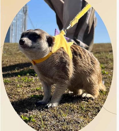 Ferret Harness and Leash Set Small Animals Vest Harness with Safe Bell Dinosaur Shaped Walking Clothes for Baby Rabbit Guinea Pig Teacup Chihuahua Mouse and Other Small pet (Yellow)