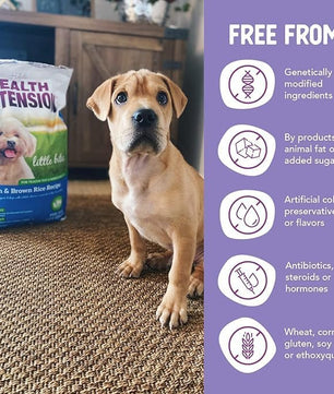 Health Extension Little Bites Dry Dog Food for Small Breeds, Chicken & Brown Rice Recipe, with Probiotics & Superfoods for Digestion & Coat Health, 1 lb Bag (Pack of 4)