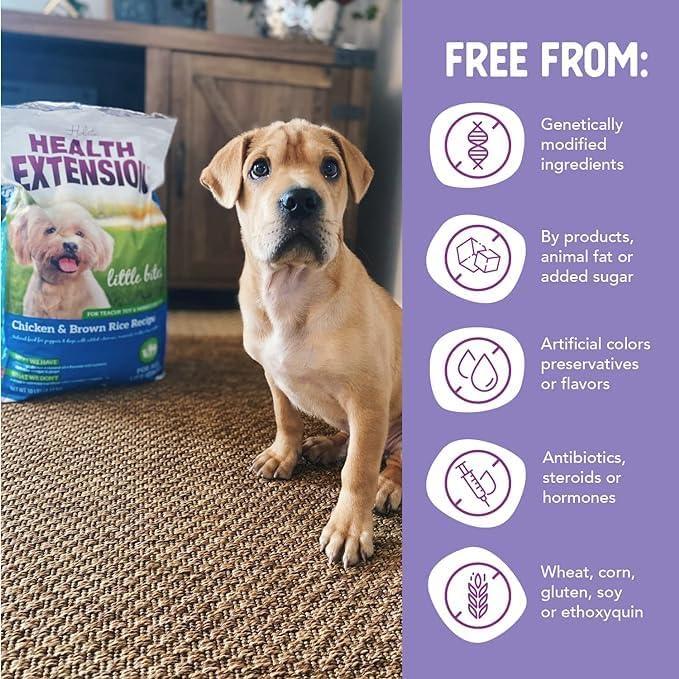 Health Extension Little Bites Dry Dog Food for Small Breeds, Chicken & Brown Rice Recipe, with Probiotics & Superfoods for Digestion & Coat Health, 1 lb Bag (Pack of 4)