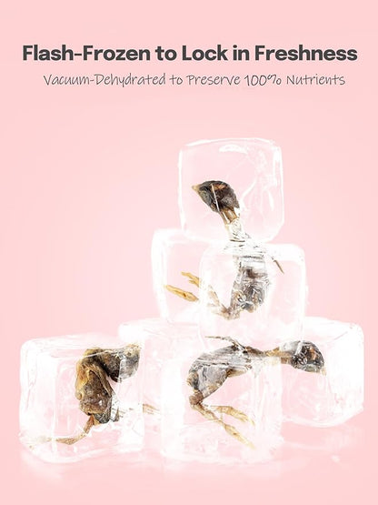 7 OZ Freeze Dried Little Quail Treats for Dogs Cats, High Protein Raw Dog Food, Single Fresh Ingredient Treats, Rawhide Free