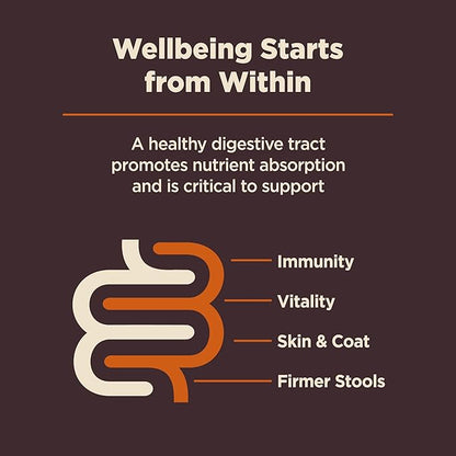 Wellness CORE Digestive Health Dry Dog Food, Small Breed, Wholesome Grains, Natural, Recipe for Dogs with Sensitive Stomachs, Chicken, (4-Pound Bag)