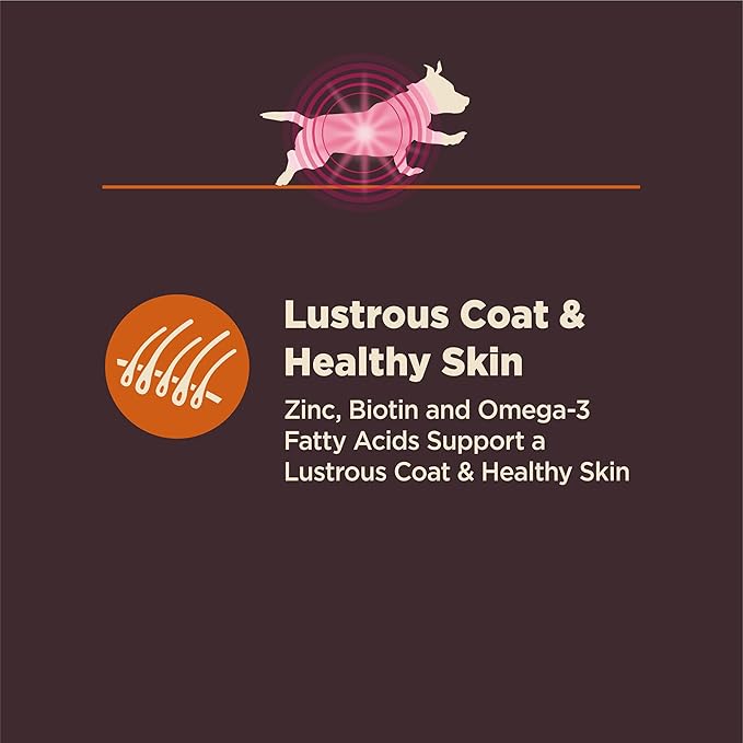 Wellness CORE Digestive Health Dry Dog Food, Small Breed, Wholesome Grains, Natural, Recipe for Dogs with Sensitive Stomachs, Chicken, (12-Pound Bag)