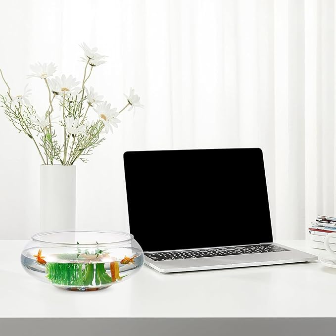 0.74 Gallon Round Fish Bowl, Plastic Clear Bowl Vase Shallow Planter Bubble Bowl Aquatic Plant Pot Hydroponic Plants Succulent Planter Fish Tank Aquarium Bowl for Home Office Decor