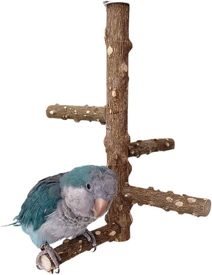 Bird Perch Stand Toy, Natural Wood Parrot Perch Bird Cage Branch Perch Accessories for Parakeets Cockatiels Conures Finches Lovebirds (L)