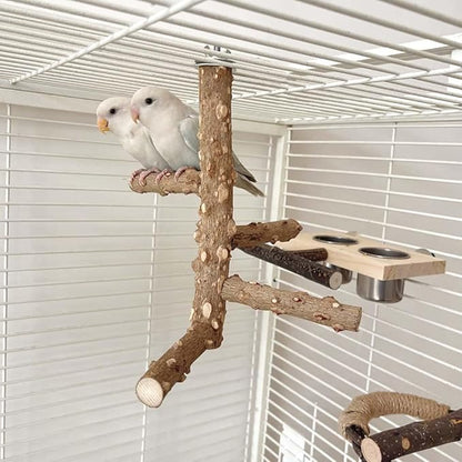Bird Perch Stand Toy, Natural Wood Parrot Perch Bird Cage Branch Perch Accessories for Parakeets Cockatiels Conures Finches Lovebirds (S)