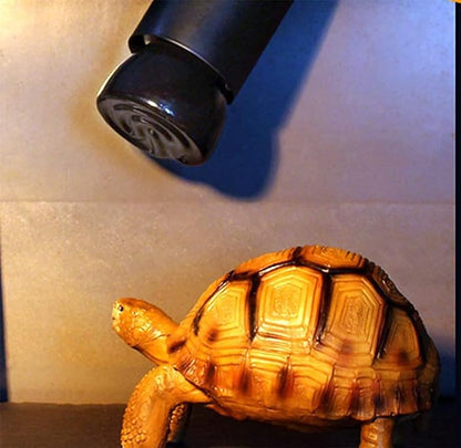 2-Packs 50W Black Ceramic Heat Lamp Mini Reptile Heat Lamp Bulbs E26/E27 Infrared Reptile Heat Emitter Heater Lamp Bulb No Light Lamps for Lizard Brooder Coop Aquarium Habitat Lizard Turtle