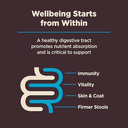 Wellness CORE Digestive Health Dry Dog Food, Wholesome Grains, Natural, Recipe for Dogs with Sensitive Stomachs, Whitefish & Brown Rice, (22-Pound Bag)