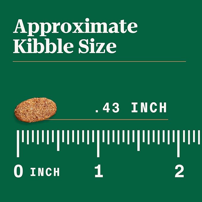 Nutro Ultra High Protein Dry Puppy Food, Trio of Proteins from Chicken, Lamb and Salmon, 22 lb Bag