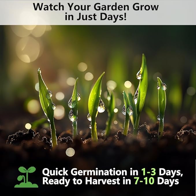 Cat Grass for Indoor Cats - Cat Grass Seeds Kit - Organic Cat Grass Growing Kit with High Germination Organic Wheat Seeds, Soil, and Planting Tools - Natural Hairball Control and Digestion Remedy