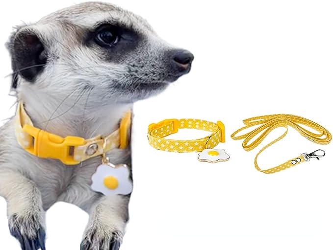 Ferret Collar Harness and Leash Adjustable, Soft and Breathable Ferret Lead Leash with Cute Designed Collar (Yellow)