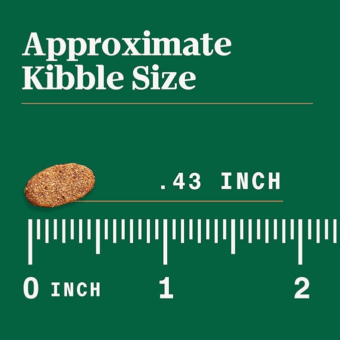 Nutro Ultra High Protein Dry Puppy Food, Trio of Proteins from Chicken, Lamb and Salmon, 27 lb Bag