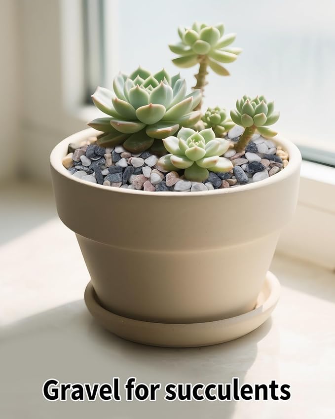 3LB Succulent & Cactus Gravel Pebbles,1/4-3/8 Inch Natural Polished River Rocks Decorative Stones for Succulent Planters,Cactus Pots,Vases,Aquariums,Outdoor Gardening Mixed Colors