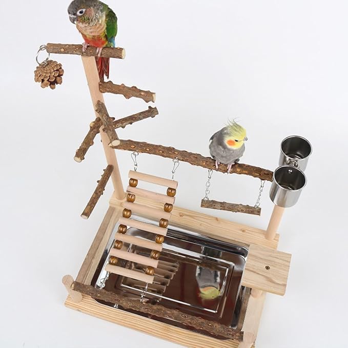 Parrot Playground Playstands, Bird Playgrounds with Feeder Cups Bird Cage Stand Bird Perch Stands, Parakeet Playground Wood Bird Play Stand for Cockatiel Parakeet