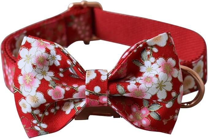 Custom Dog Collar with Names and Phone Number Engraved, Puppy Tags Personalized for Small Medium Large Pets