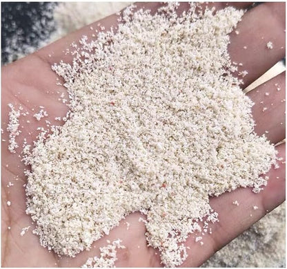 LANDEN NanshaPure Natural Sand 11lbs (3L) for Reef or Hardwater Aquarium, Premium Aragonite Cosmetic Sand for Saltwater and Marine Aquascape, Substrate for Cichlid, Harlequin Shrimp and Hermit Crab