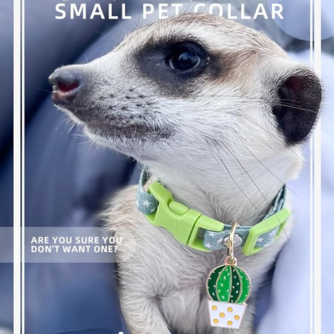 Ferret Collar Harness and Leash Adjustable, Soft and Breathable Ferret Lead Leash with Cute Designed Collar (Pink)