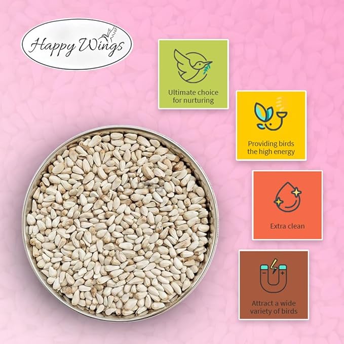 Safflower Seeds Wild Bird Food - 5 Pounds I No Grow Seed I Bird Seed for Wild Birds