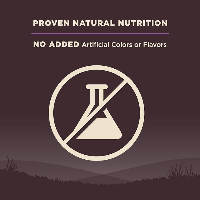 Wellness CORE Grain-Free Senior Dry Dog Food, Made in USA with Natural Ingredients, No Meat by-Product, Fillers, Artificial Flavors, or Preservatives (4-Pound Bag, Turkey)