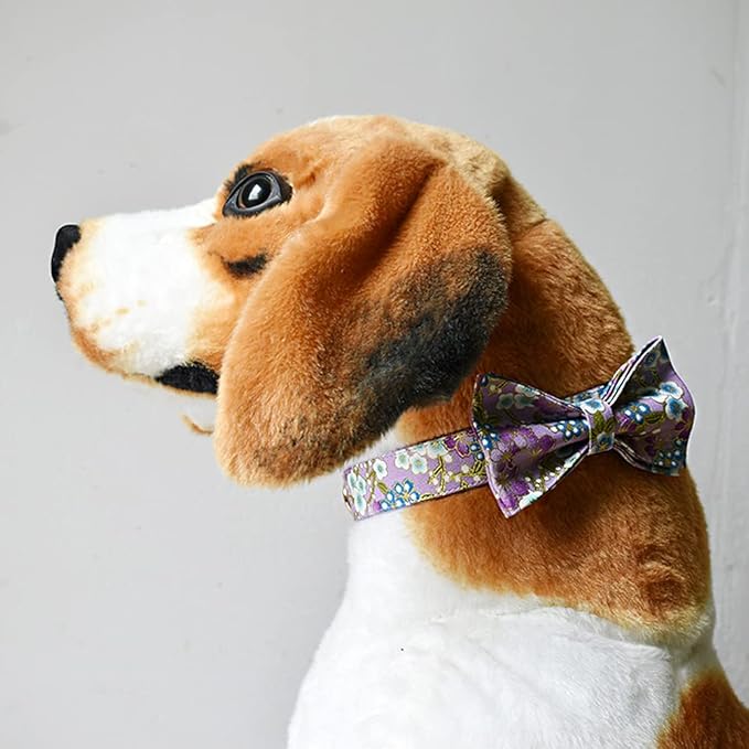 Custom Dog Collar with Names and Phone Number Engraved, Puppy Tags Personalized for Small Medium Large Pets