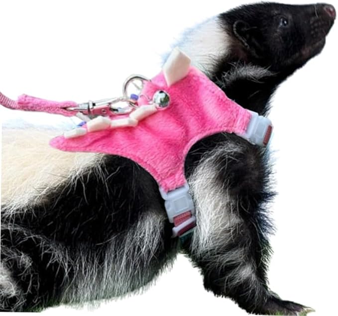 Ferret Harness and Leash Set Small Animals Vest Harness with Safe Bell Dinosaur Shaped Walking Clothes for Baby Rabbit Guinea Pig Teacup Chihuahua Mouse and Other Small pet (Pink)