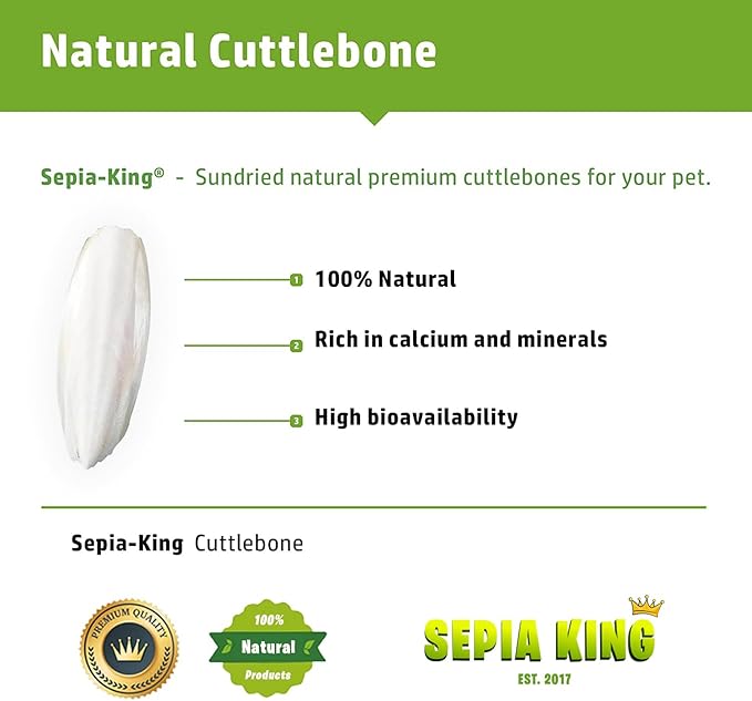 Extra Large - 100% Natural Calcium Supplement - Premium Cuttlebone Perfect for Birds, Tortoises, Snails, Reptiles - Pack of 3