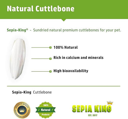 Extra Large - 100% Natural Calcium Supplement - Premium Cuttlebone Perfect for Birds, Tortoises, Snails, Reptiles - Pack of 3