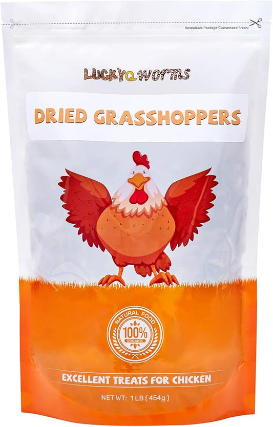 Freeze Dried Grasshoppers - High Protein Reptile & Bird Food, 1lb Resealable Bag for Bearded Dragons, Lizards, Hedgehogs | Natural, No Additives
