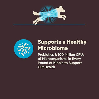 Wellness CORE Digestive Health Dry Dog Food, Wholesome Grains, Natural, Recipe for Dogs with Sensitive Stomachs, Whitefish & Brown Rice, (22-Pound Bag)