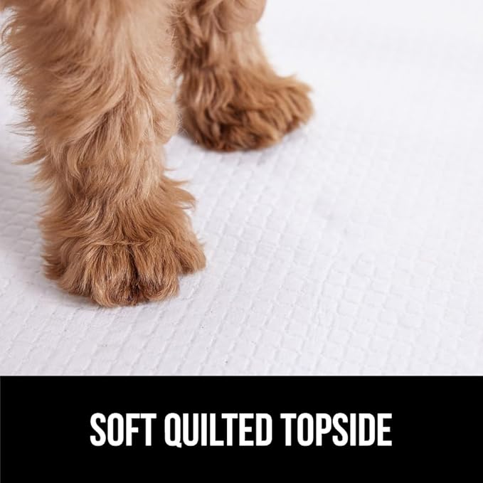 Gorilla Guard Disposable Puppy Pads, 5 Layer Pee Pads for Dogs, Absorbent Diaper Changing Pad, Dog Potty Training Supplies, Quick Dry Pet Housebreaking Essentials for Puppies, 50 Count 22x22 in
