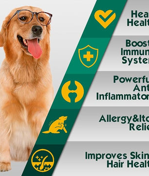 Advanced Allergy Immune Itch Relief for Dogs, Itching Skin Relief & Seasonal Allergies Support with Dog Probiotics, Astragalus Root & Mushroom, Colostrum, Turmeric, Salmon Oil - 90ct, Bacon