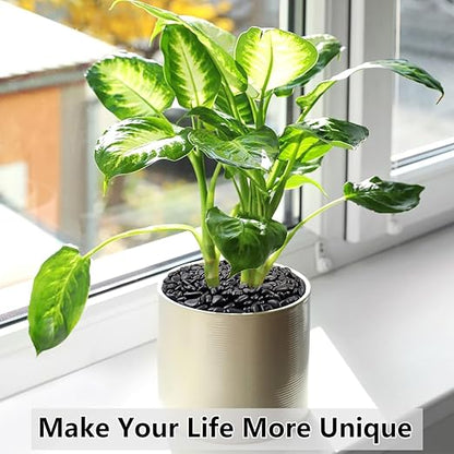 5LB Succulent and Cactus Black Pebbles, 3/8 Inch Natural Decorative Polished Stones, River Rocks for Indoor Plants, Vases, Planters and Outdoor Gardening