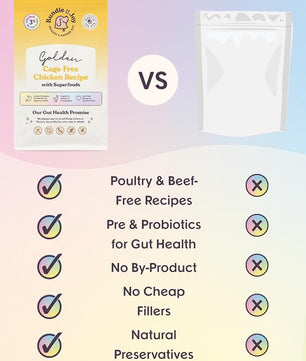 Golden Probiotic Dog Food Dry, Chicken, 4lb Bag, Allergy and Gut-Friendly Adult Kibble for Digestive Health with Cage-Free Chicken, 20 Plant Based Superfoods, Beef and Grain Free