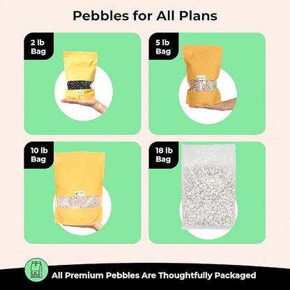 Volcanic Rock for Plants. Gritty Mix. Mixed Color Lava Rock. 1/5 Inch - 10 lbs for Potting Succulents, Pots, Plants, Gardening, Indoor, Crafting, Vase Fillers