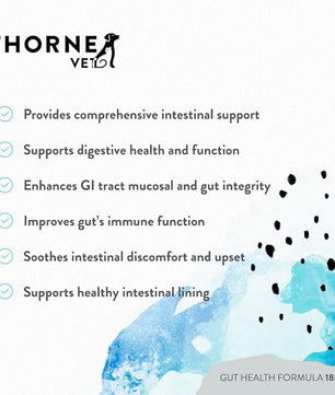 ThorneVET Gut Health Formula – Gastrointestinal Support for Dogs, Cats & Horses, 180 Soft Chews