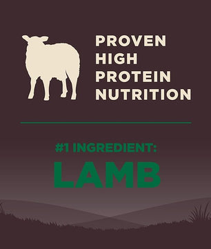 Wellness CORE Dry Dog Food, Grain Free, High Protein, Natural, Lamb Recipe, (4-Pound Bag)