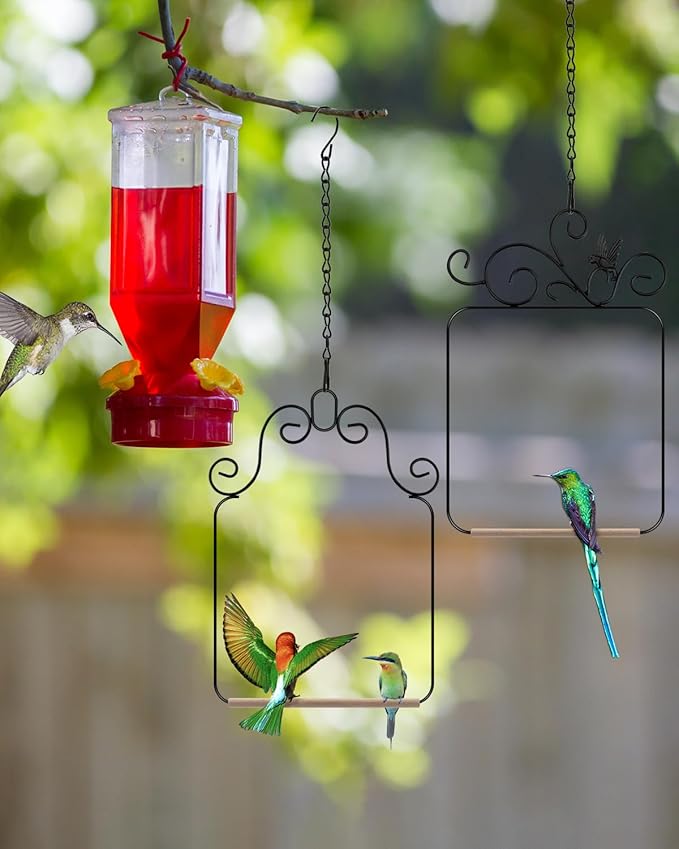 PACETAP Hummingbird Swings and Perches Metal Frame 2 Pack, Wild Bird Swing Outdoor Bird Perch with Wooden Dowel and 2 Hanging Chain for Hanging Indoor, Outdoor, Trunk, Lawn, Patio, Garden (Black)
