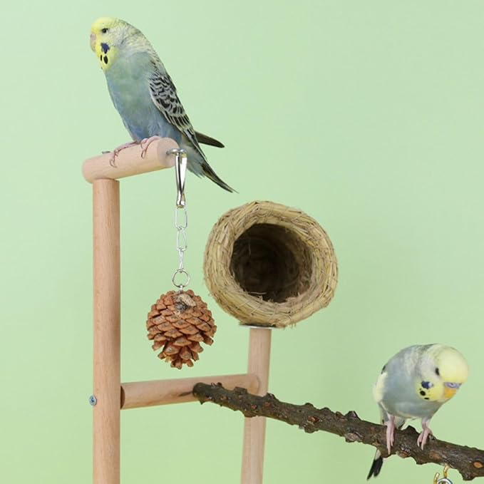 Parrot Playground Playstands, Bird Playgrounds with Feeder Cups Breeding Grass Nest Bird Cage Stand Bird Perch Stands, Parakeet Playground Wood Bird Play Stand for Cockatiel Parakeet
