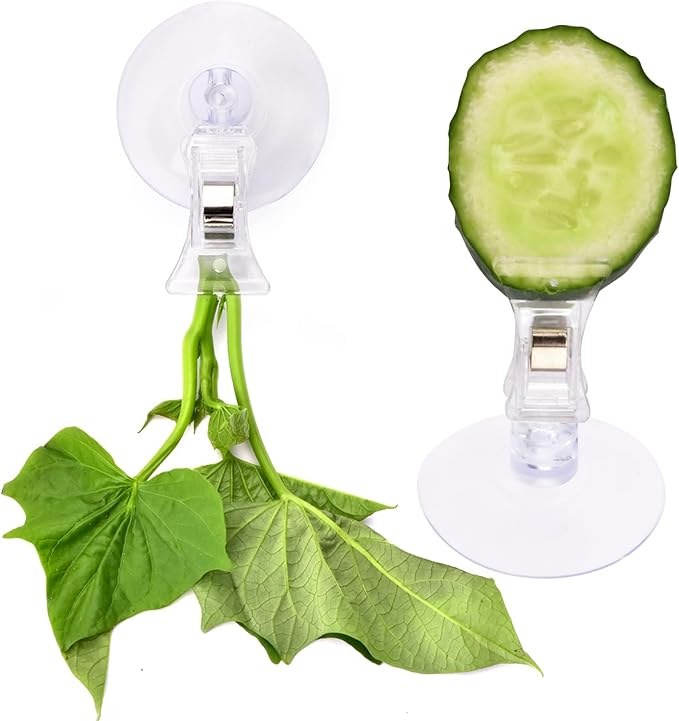 AccEncyc 12Pcs Veggie Clips Aquarium Seaweed Clips Fish Food Holder Wide Mouth Clips Plants Suction Cups Algae Clips for Freshwater and Marine Fish Tank (Plastic)