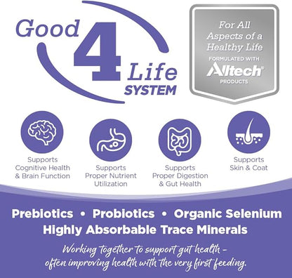 NutriSource Chicken & Rice Small & Medium Breed Puppy Food, Premium Wet Dog Food, 12.3 Ounce (Pack of 12)