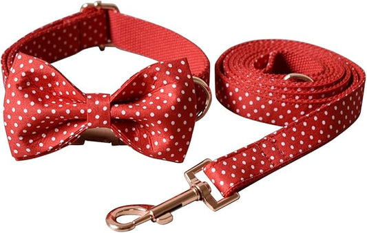 Custom Dog Collar with Names and Phone Number Engraved, Puppy Tags Personalized for Small Medium Large Pets