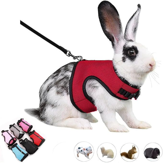 Ferret Harness and Leash Set,Small Rabbit Harness Leash Bunny Walking Training for Rat Guinea Pig Hamster Squirrel Ferret Small Animal Pets Harness,Red M