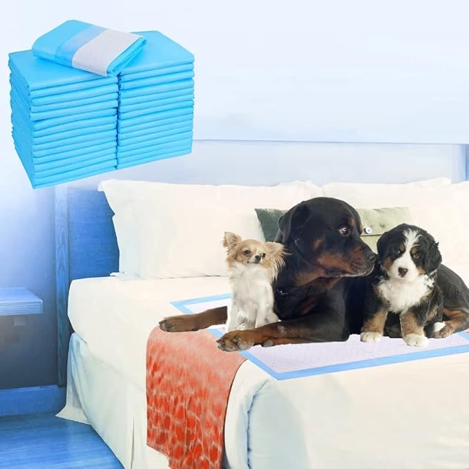 Extra Large Puppy Pads,36"x36" Pee Pads for Dogs,40 Count Training Dog Pee Pads Absorbent & Leak-Proof &Quick Dry,Disposable Pet Potty Pads for House Training Dogs Cats, Rabbits.