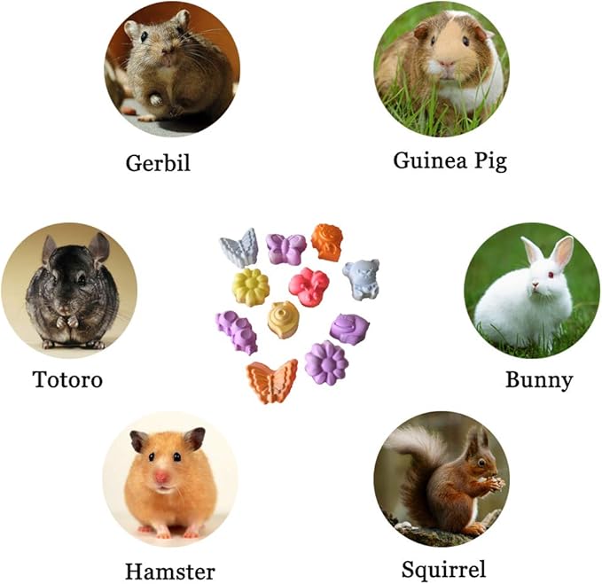 10 Pieces Hamster Teeth Grinding Lava Block Calcium Stone Chew Toys for Chinchillas Rabbits Gerbil Guinea Pig Syrian Hamster Squirrel Ferret