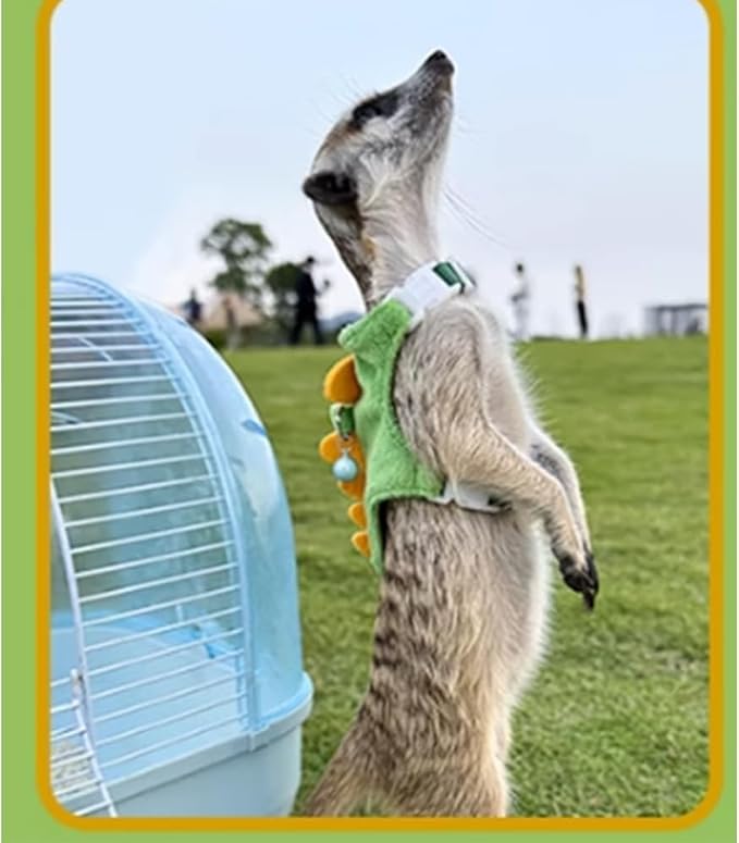 Ferret Harness and Leash Set Small Animals Vest Harness with Safe Bell Dinosaur Shaped Walking Clothes for Baby Rabbit Guinea Pig Teacup Chihuahua Mouse and Other Small pet (Green)