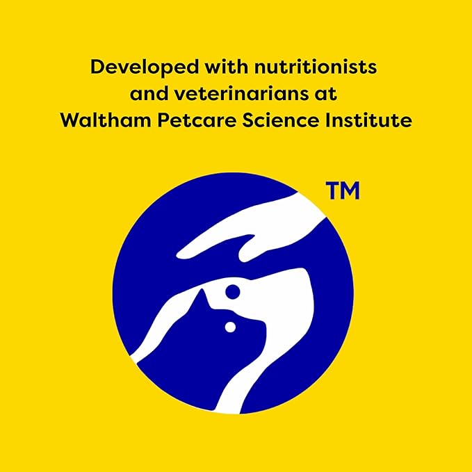 Temptations Classic Crunchy and Soft Cat Treats, Savory Salmon Flavor, 16 oz. Tub